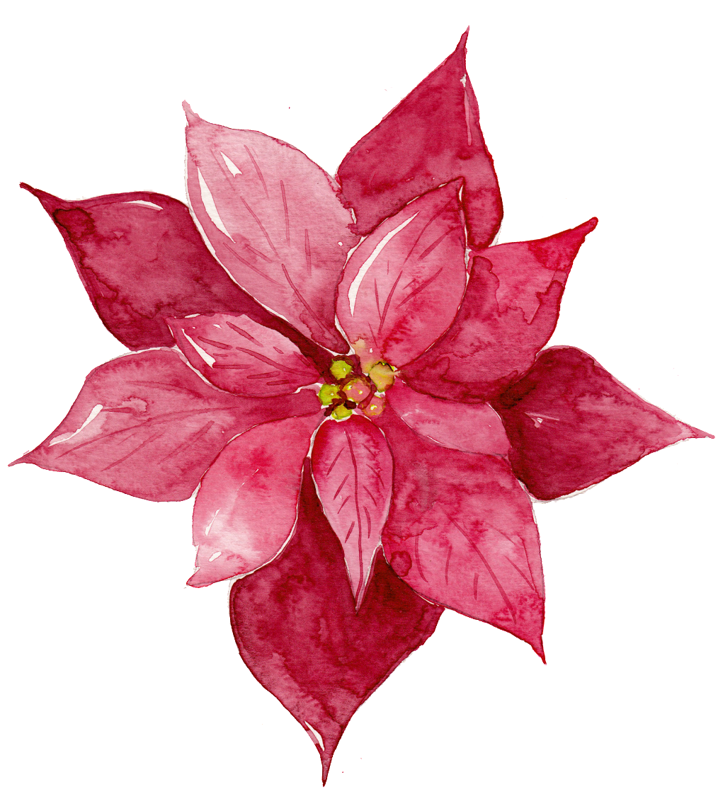 This Graphics Is Red Watercolor Flowers Free Matting - Red Watercolor Flowers Png (1024x1165), Png Download
