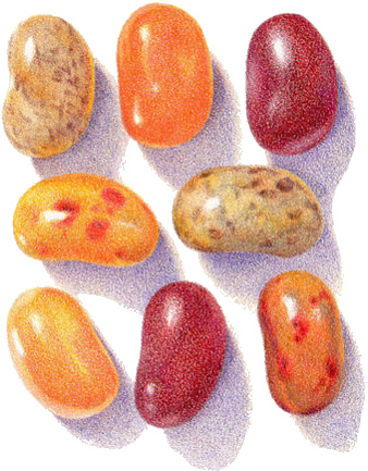 Visual Arts Watercolor Painting - Color Pencil Drawings Candy (694x697), Png Download