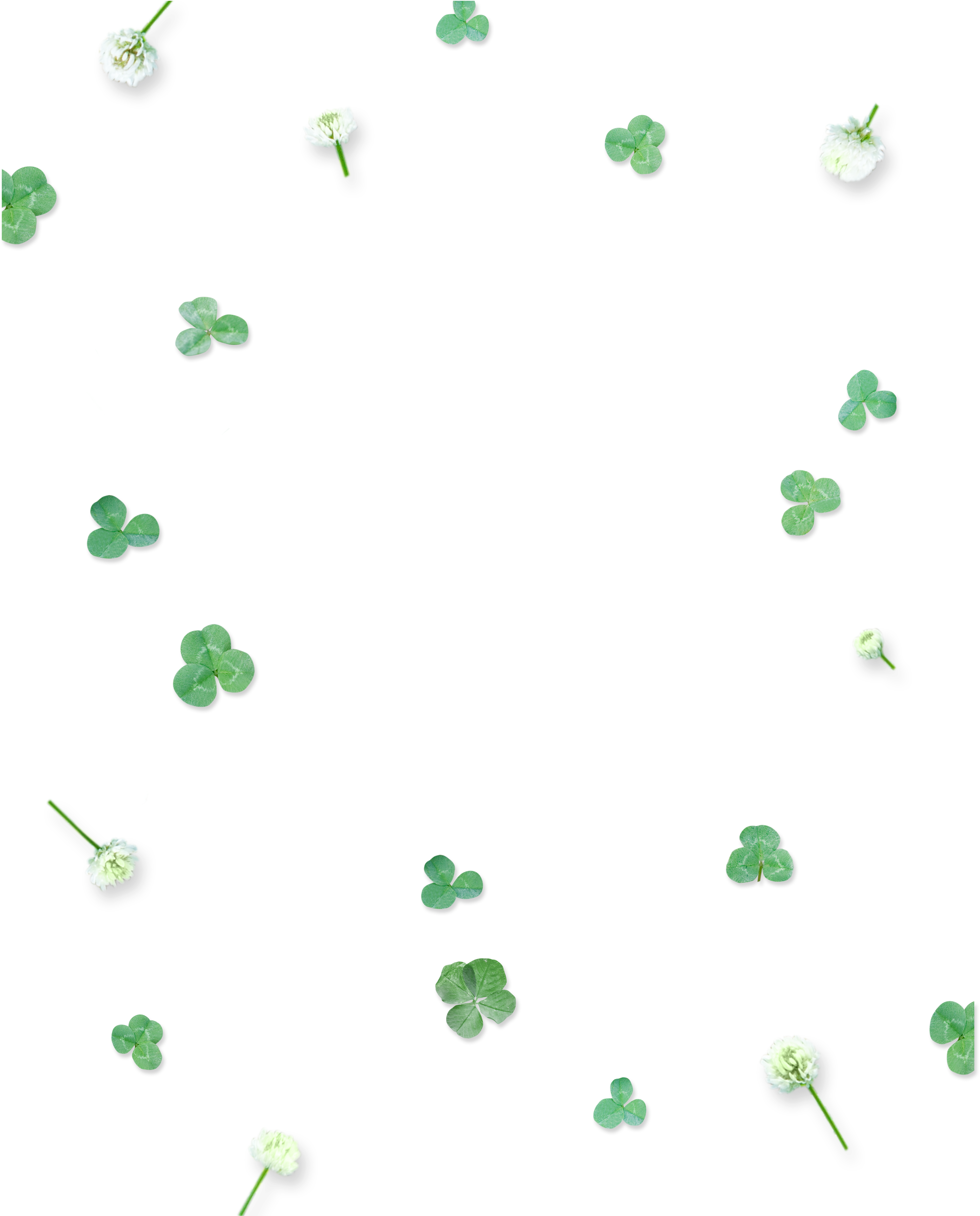 This Graphics Is Green Cute Four Leaf Clover Floating - Poster (4655x4784), Png Download