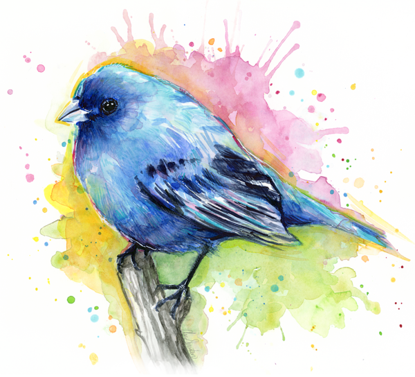Indigo Bunting Blue Bird Watercolor Kids T (600x544), Png Download