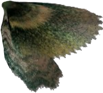 According To A Timeline Of Major Developments In The - Eagle (658x373), Png Download