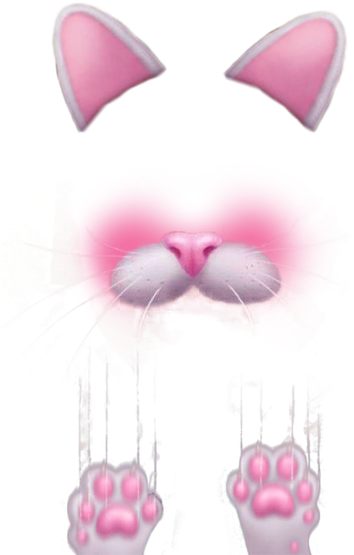Free Icons Png - Cat Face Snapchat Png (422x666), Png Download