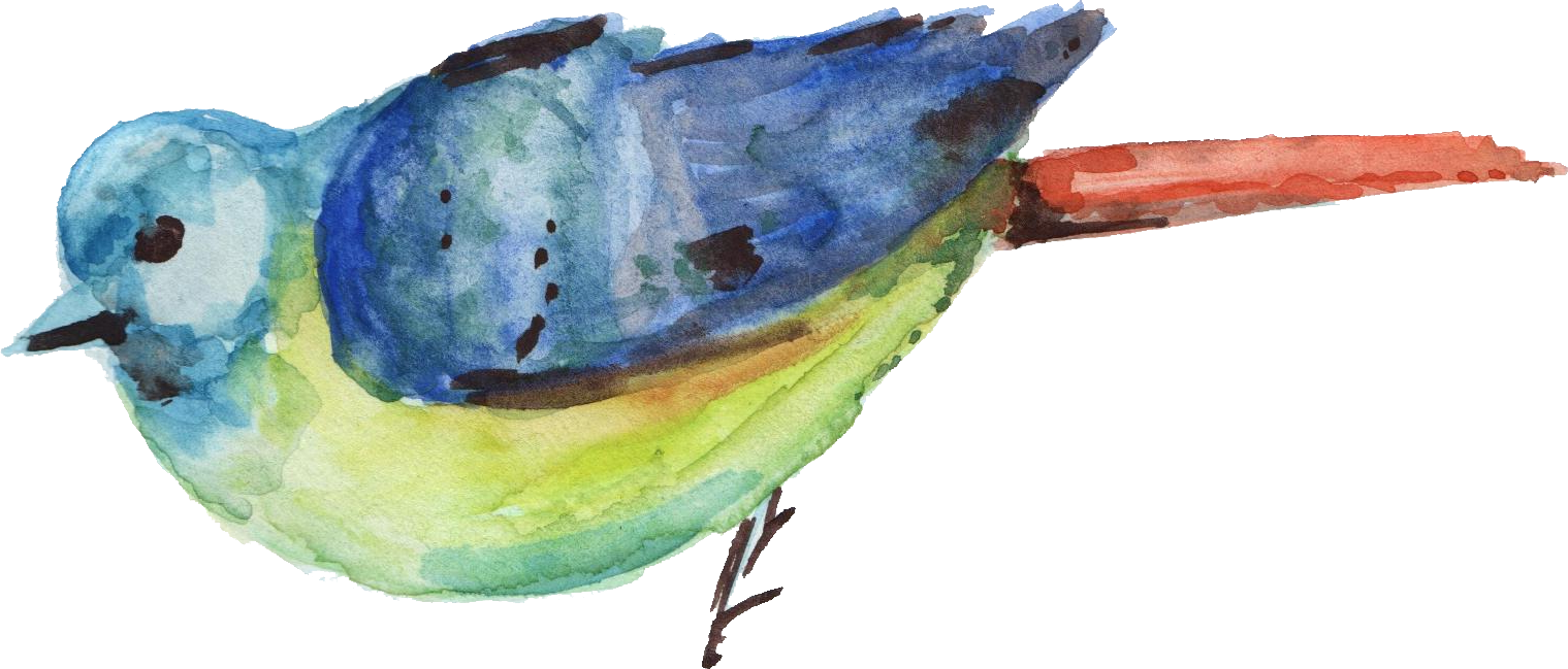 Watercolor Transparent Onlygfx - Watercolour Bird Png (1519x649), Png Download