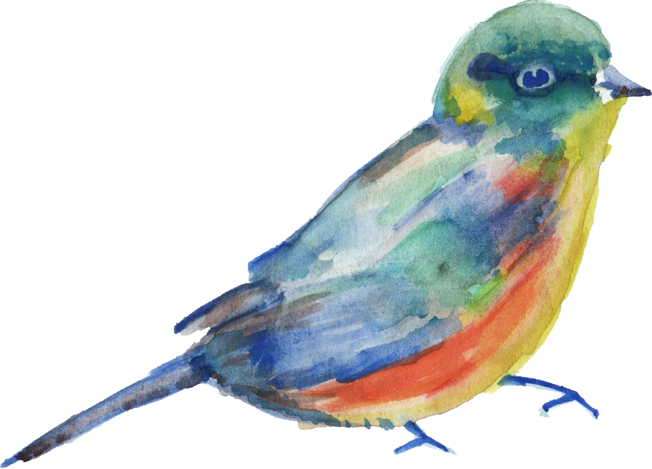 Watercolor Transparent Onlygfx - Bird Vector Png Watercolor (1281x922), Png Download