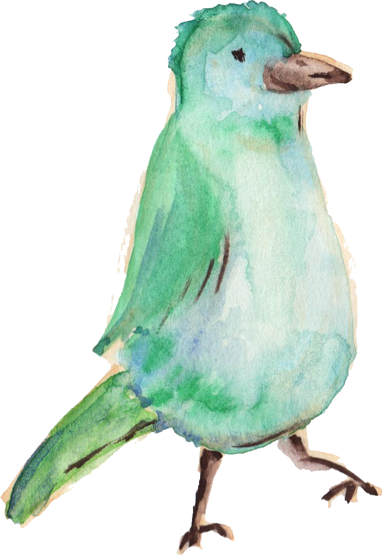 Water Color Bird Png - Bird Vector Png Watercolor (758x1100), Png Download
