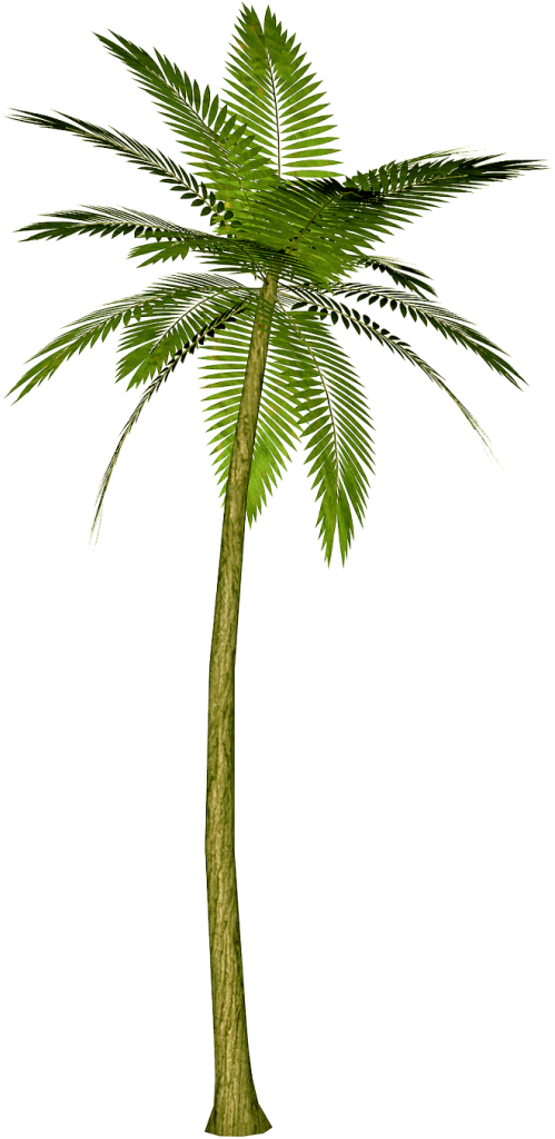 Palm Tree Watercolor Png - Transparent Background Palm Tree Png (292x600), Png Download