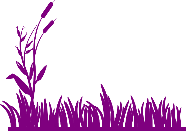 Grass Clipart Transparent Clipart Panda - Purple Grass Vector (600x424), Png Download