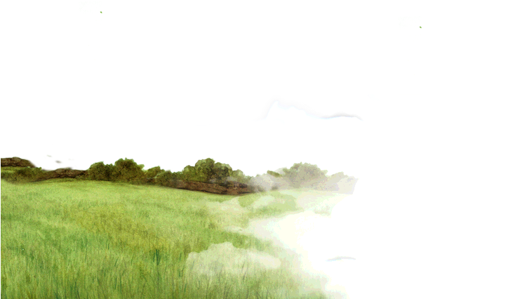 Grass (720x432), Png Download