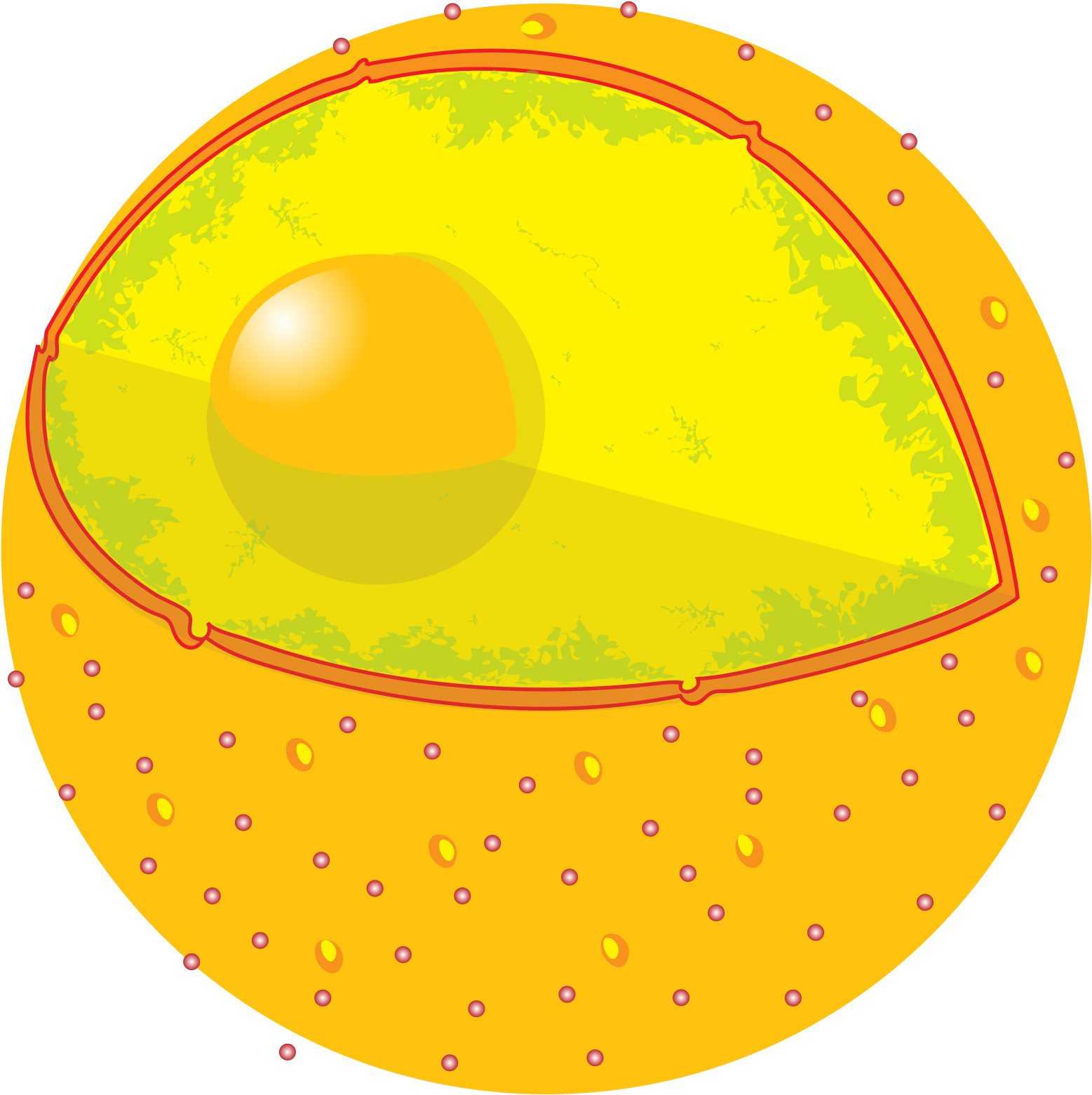 Sun Png (1080x1080), Png Download