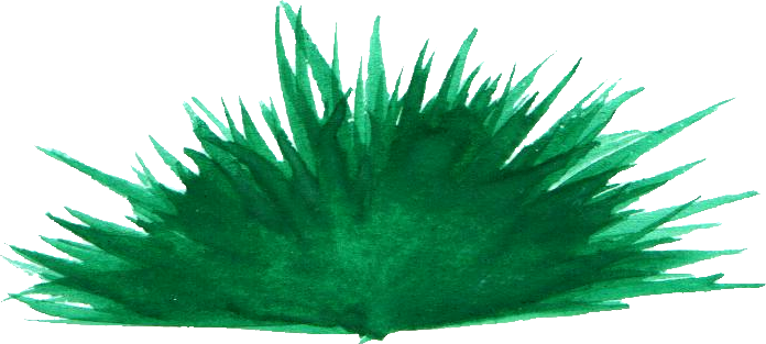 Free Download - Grass (696x313), Png Download