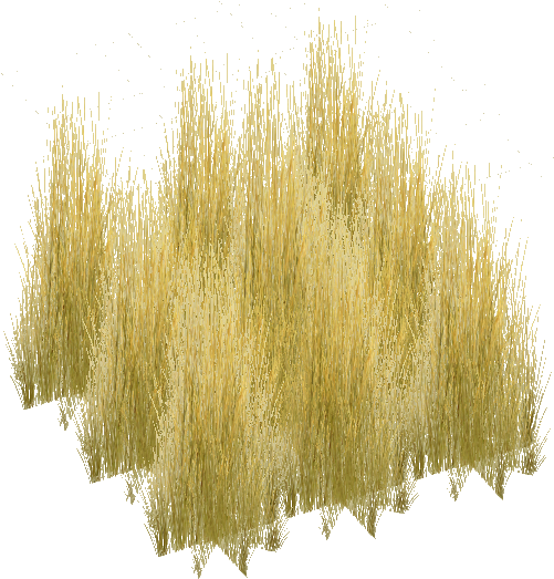 3d Tree, Entourage, Trees To Plant, Donuts, Monitor, - Tall Grass Texture Png (522x522), Png Download
