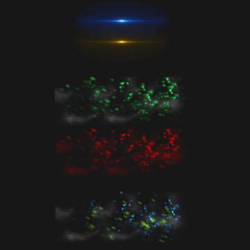 Abstract Colorful Shiny Sparkle , Colorful, Sparkle, - Darkness (360x360), Png Download