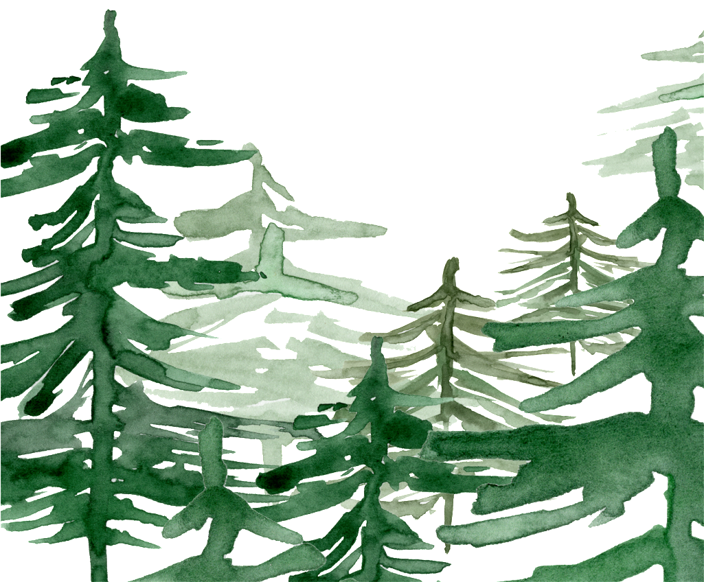 Green Watercolor Hand Painted Forest Transparent - Watercolor Painting (1024x1433), Png Download