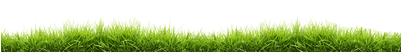 Small Line Of Grass - Grass (400x400), Png Download