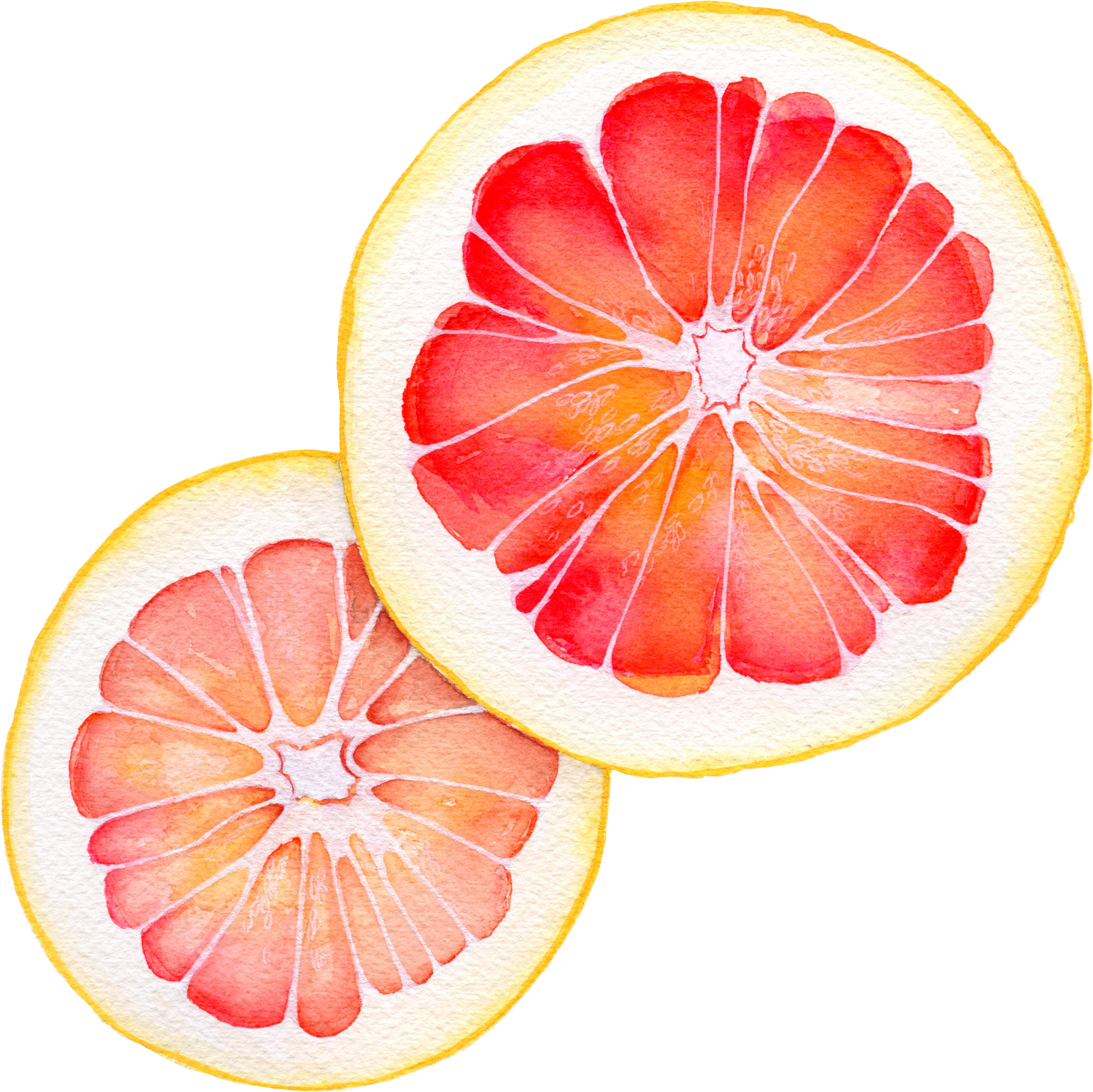 Watercolor - Grapefruit - Grapefruit Watercolor (2824x2799), Png Download