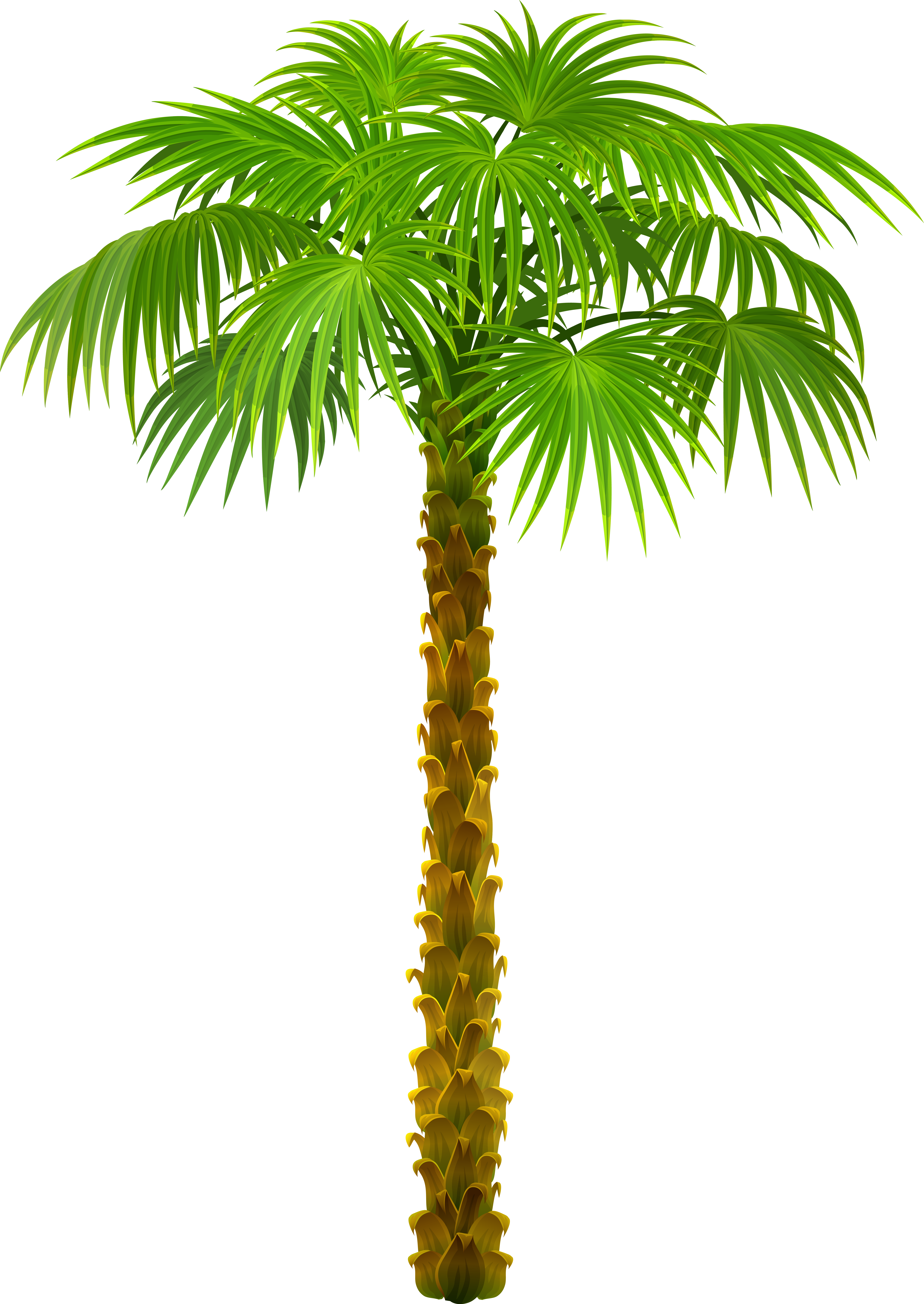 Palm Tree Png (5989x8449), Png Download