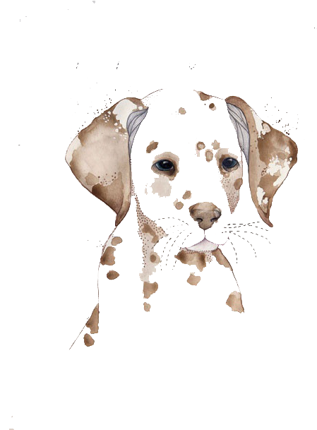 Dalmatian Dog Watercolor Painting Drawing Illustration - Watercolor Images Of Dogs Transparent Background Vector (600x656), Png Download