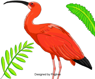 Simple Hand Painted Cartoon Bird Material, Cartoon, - Cartoon (360x360), Png Download