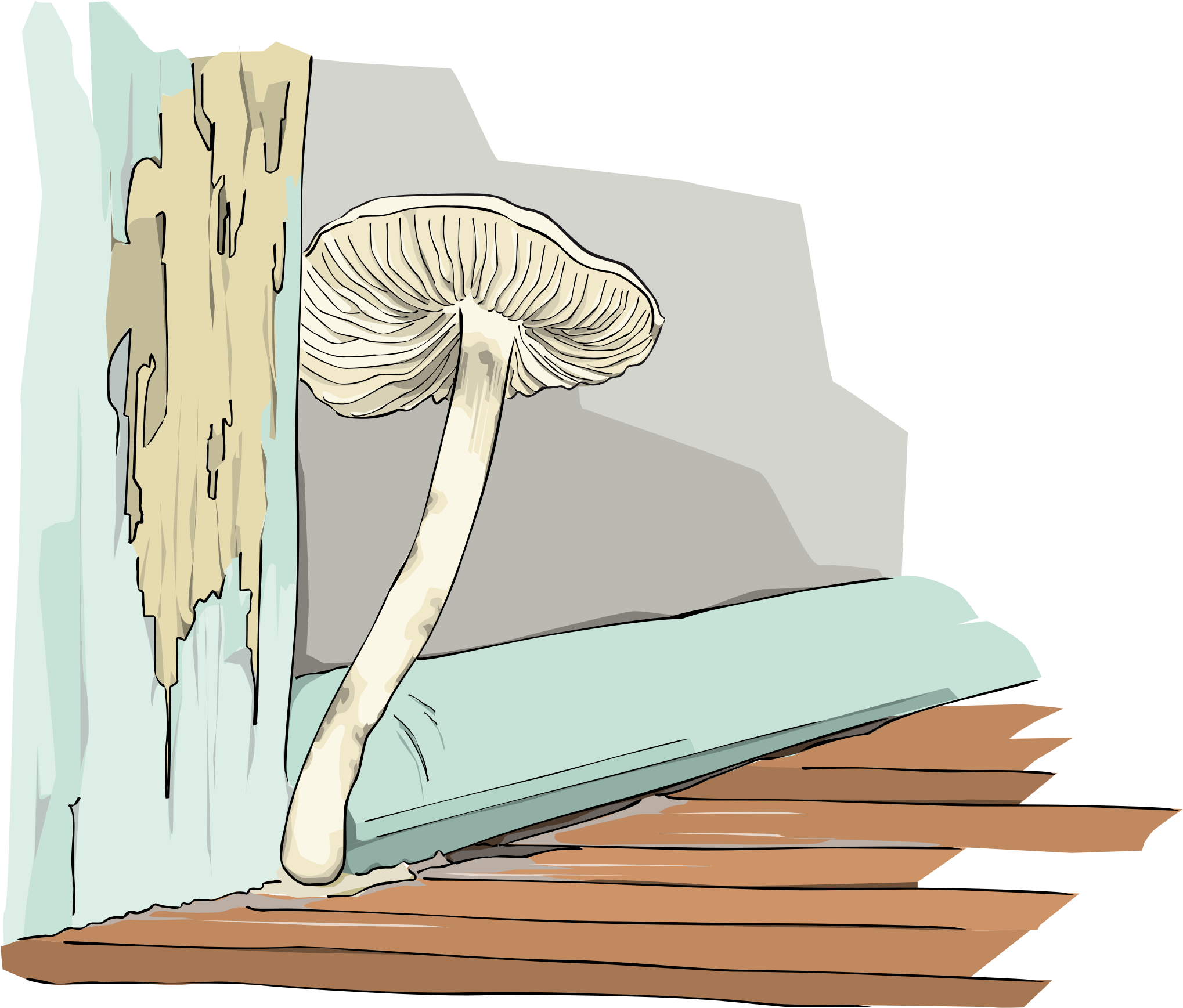 Mushroom Mold Food /m/083vt Fungus - Mushroom (399x340), Png Download