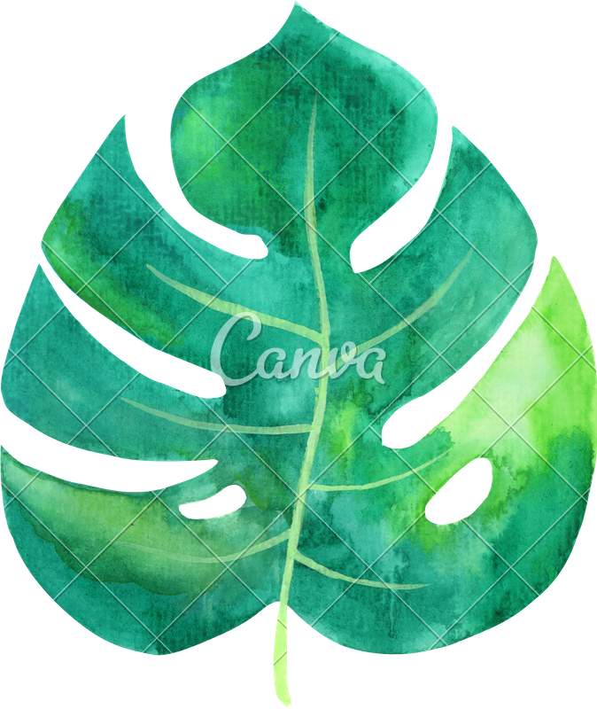 Tropical Leaves Watercolor Png Image Library Download - Tropical Leaf Watercolor Png (674x800), Png Download