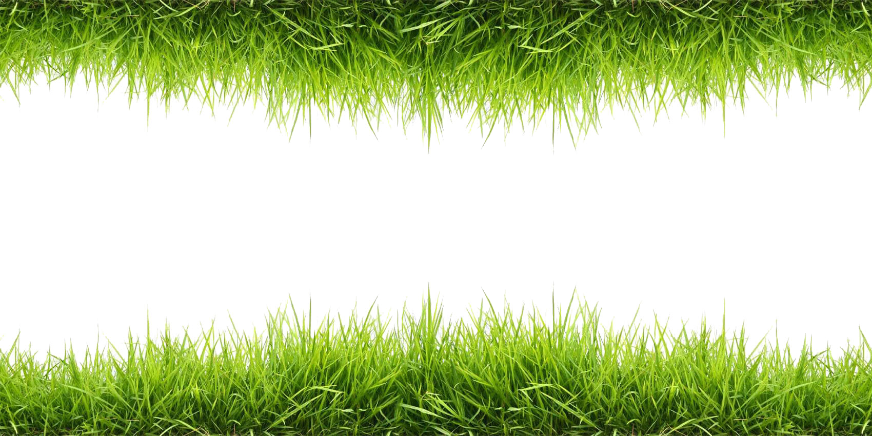 Grass Png (1700x850), Png Download