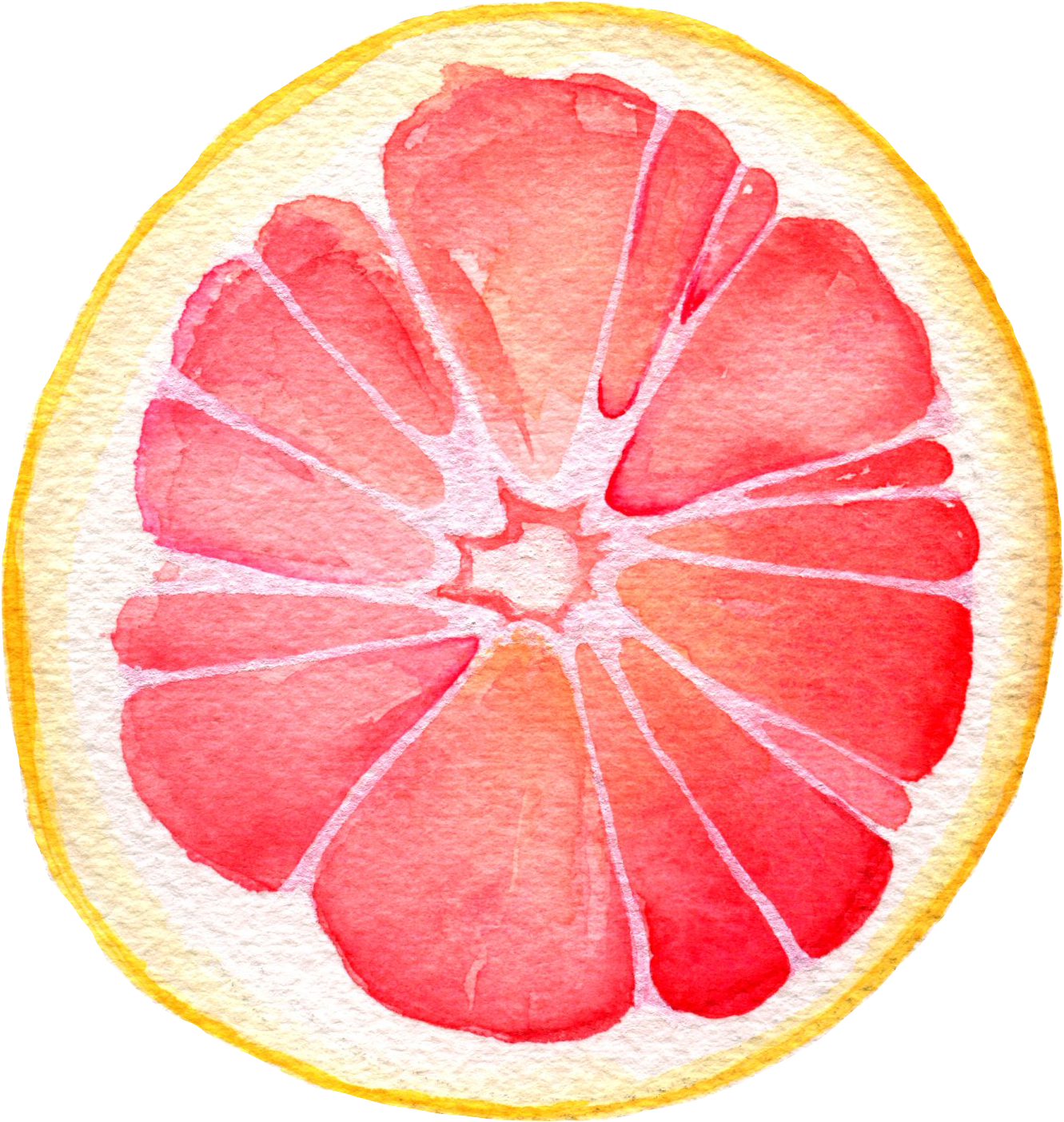 Watercolor - Grapefruit - Grapefruit Watercolor Painting (1416x1480), Png Download