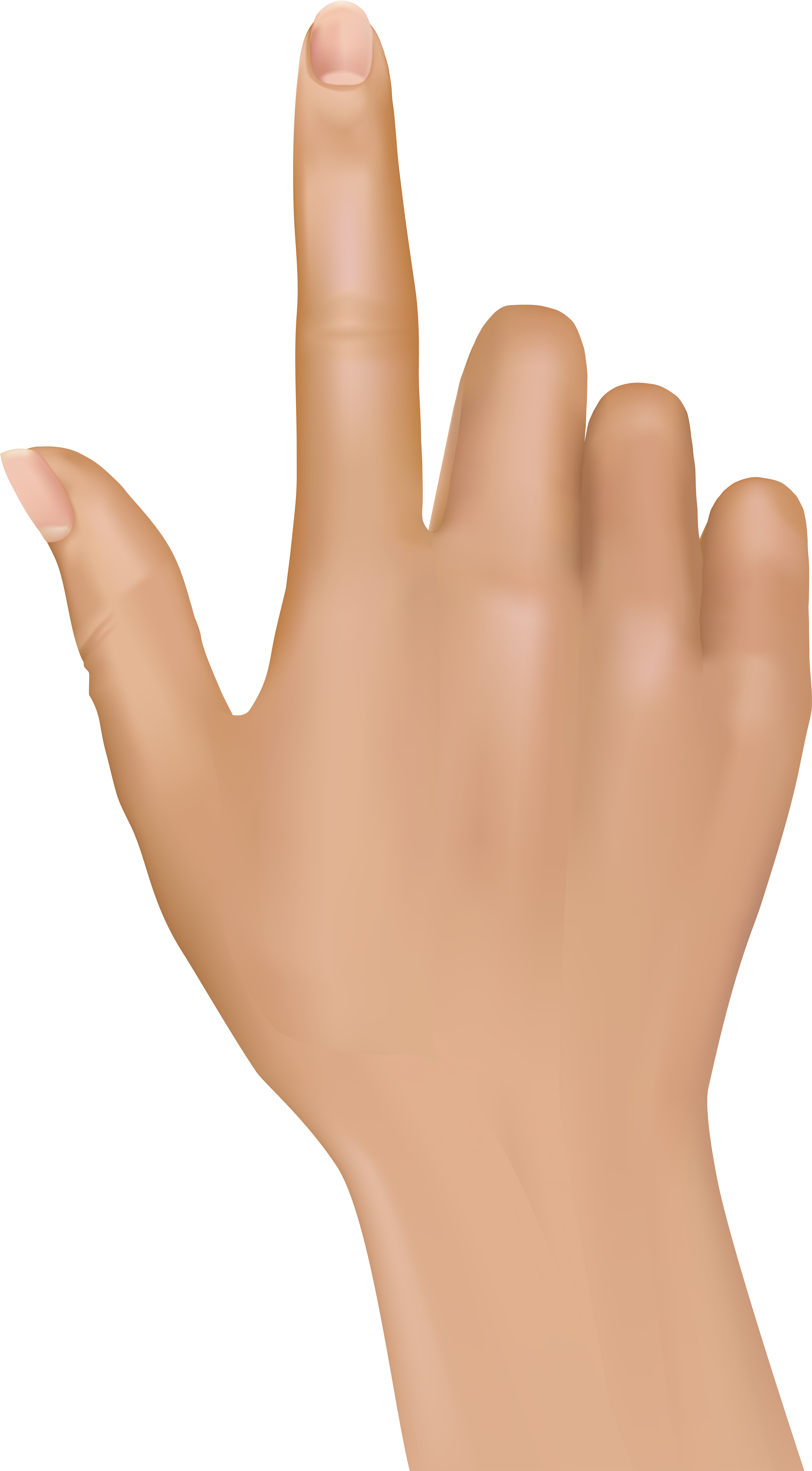 Tuching Finger Hand Png Clip Art - Hand Png (4643x8000), Png Download