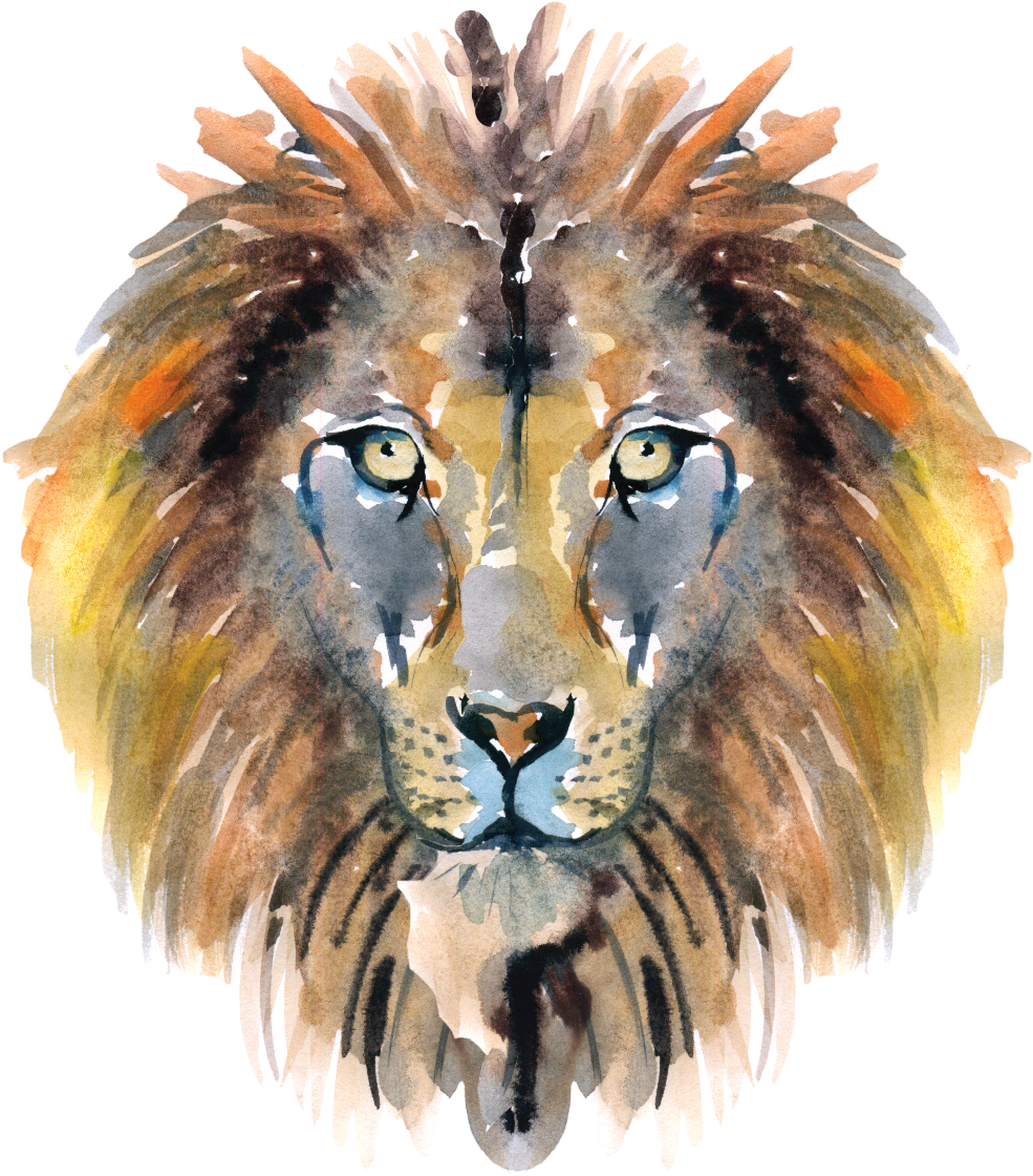 World Book Day - The Chronicles Of Narnia (1077x1178), Png Download