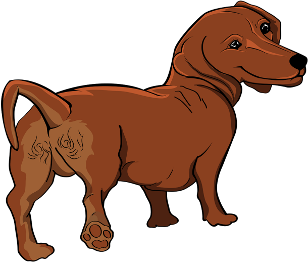Brown Lovely Watercolor Puppy Material Design, Puppy, - Watercolor Painting (360x360), Png Download