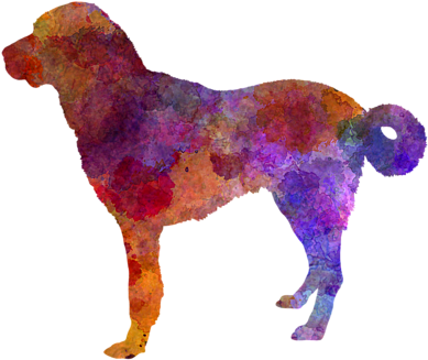 Click And Drag To Re-position The Image, If Desired - Zazzle Anatolian Shepherd Dog Im Watercolor Ipad Mini (600x480), Png Download