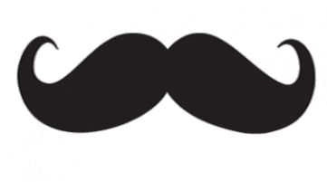 Mustache, Mustache, Mustach, Mustaches Png And Psd - Handlebar Moustache Clip Art (360x360), Png Download