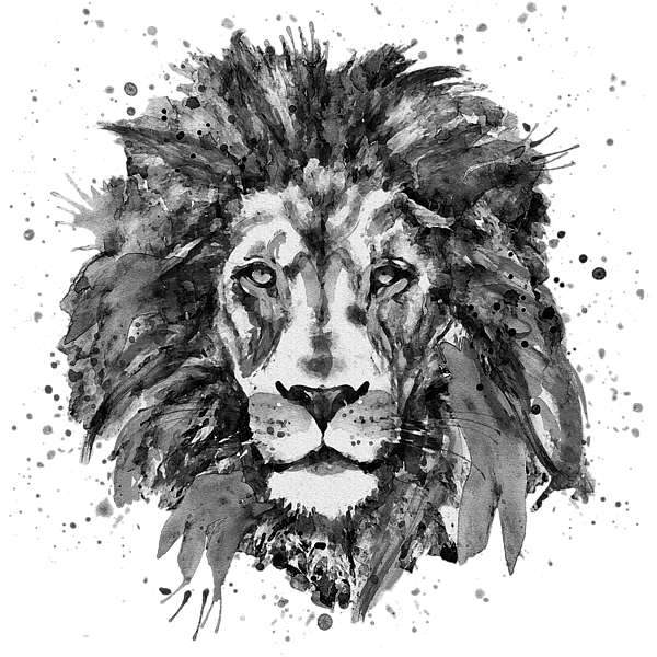 Drawing Lions Black And White - Lion Head Black And White (600x600), Png Download