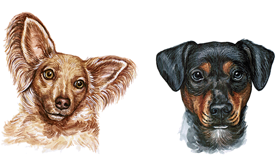 Dog Watercolor Painting - Dog Watercolor Png (600x600), Png Download