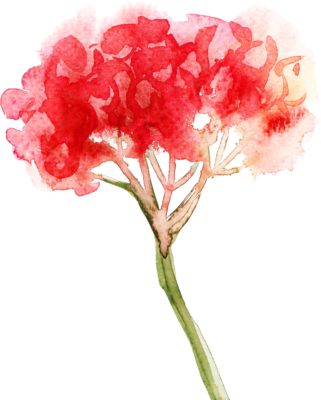 This Graphics Is Red Light Bouquet Cartoon Transparent - Portable Network Graphics (1024x1277), Png Download