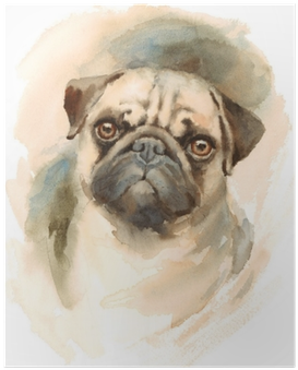 Watercolor Dog Pug Portrait - M&co. Pug Print Cushion (400x400), Png Download