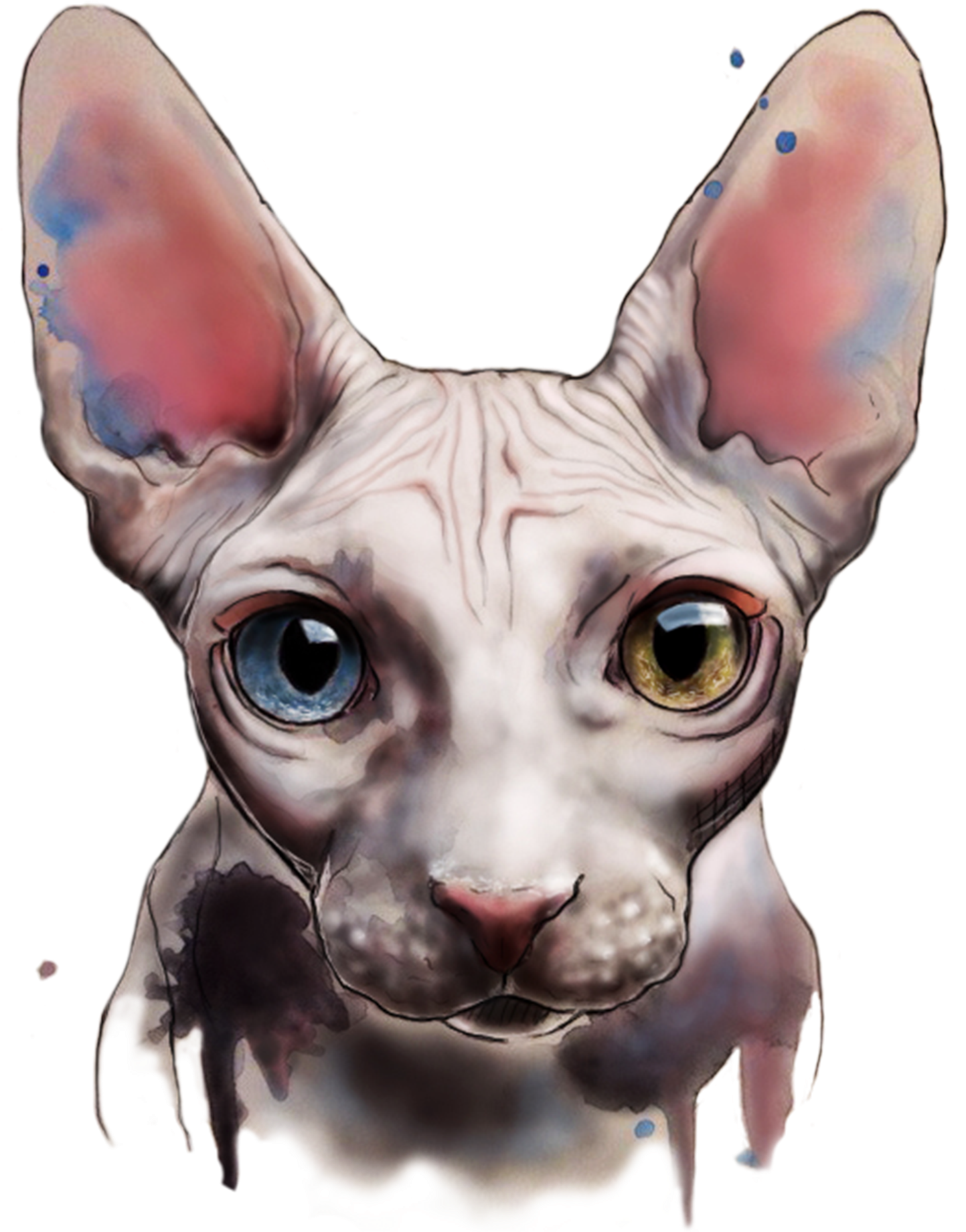 Watercolor And Digital Art By Elenn Freya - Sphynx Cat Art (1456x1867), Png Download