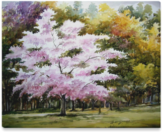 Tree (500x500), Png Download