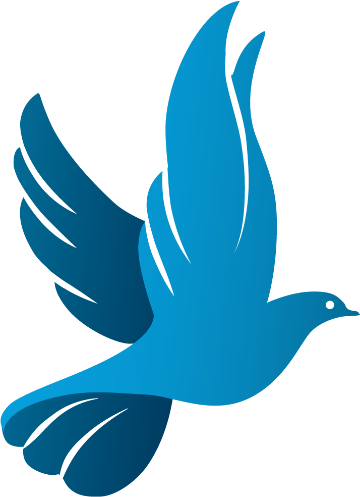 Icon-dove - Dove Icon Png Transparent (1171x1069), Png Download