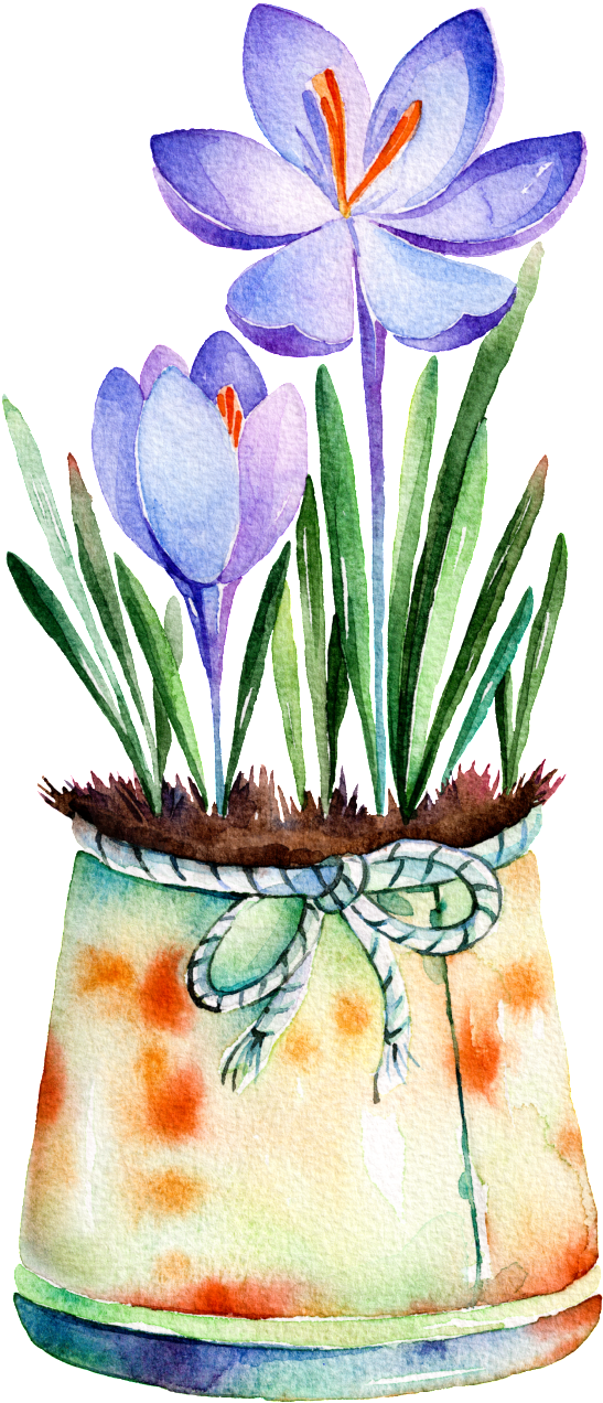 Purple Flower Potted Hand Painted Watercolor Transparent - Quotes By Helen Barry (1024x1462), Png Download