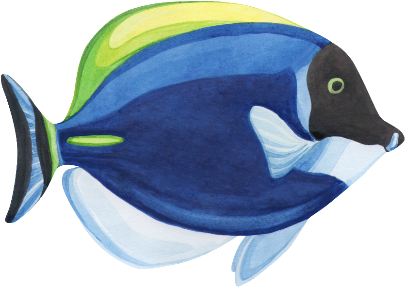 Hand Painted A Fish Watercolor Fish Png Transparent - Fish Watercolor Transparent (1024x824), Png Download