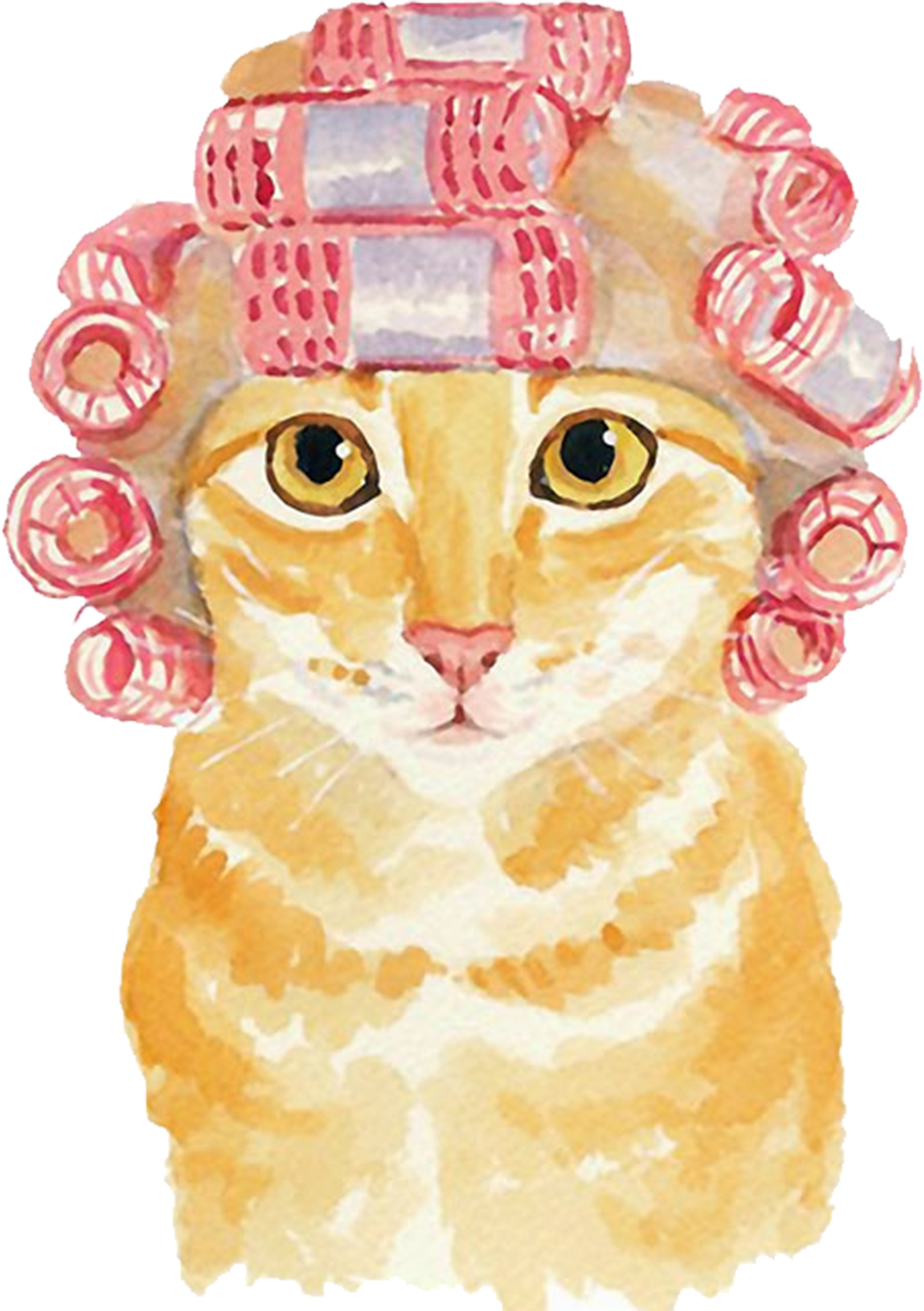 Clip Black And White Stock Cats Vector Watercolor - Watercolor Cat With Hat (3508x2480), Png Download