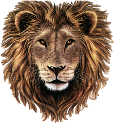 Best Free Lion In Png - Poem On Lion In Hindi (429x504), Png Download
