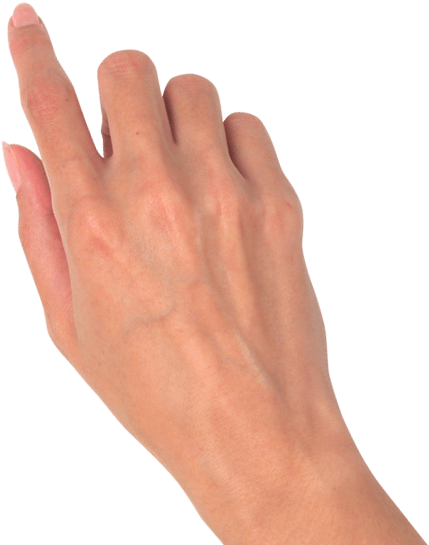 Hands Png Image - Hand Png (600x600), Png Download