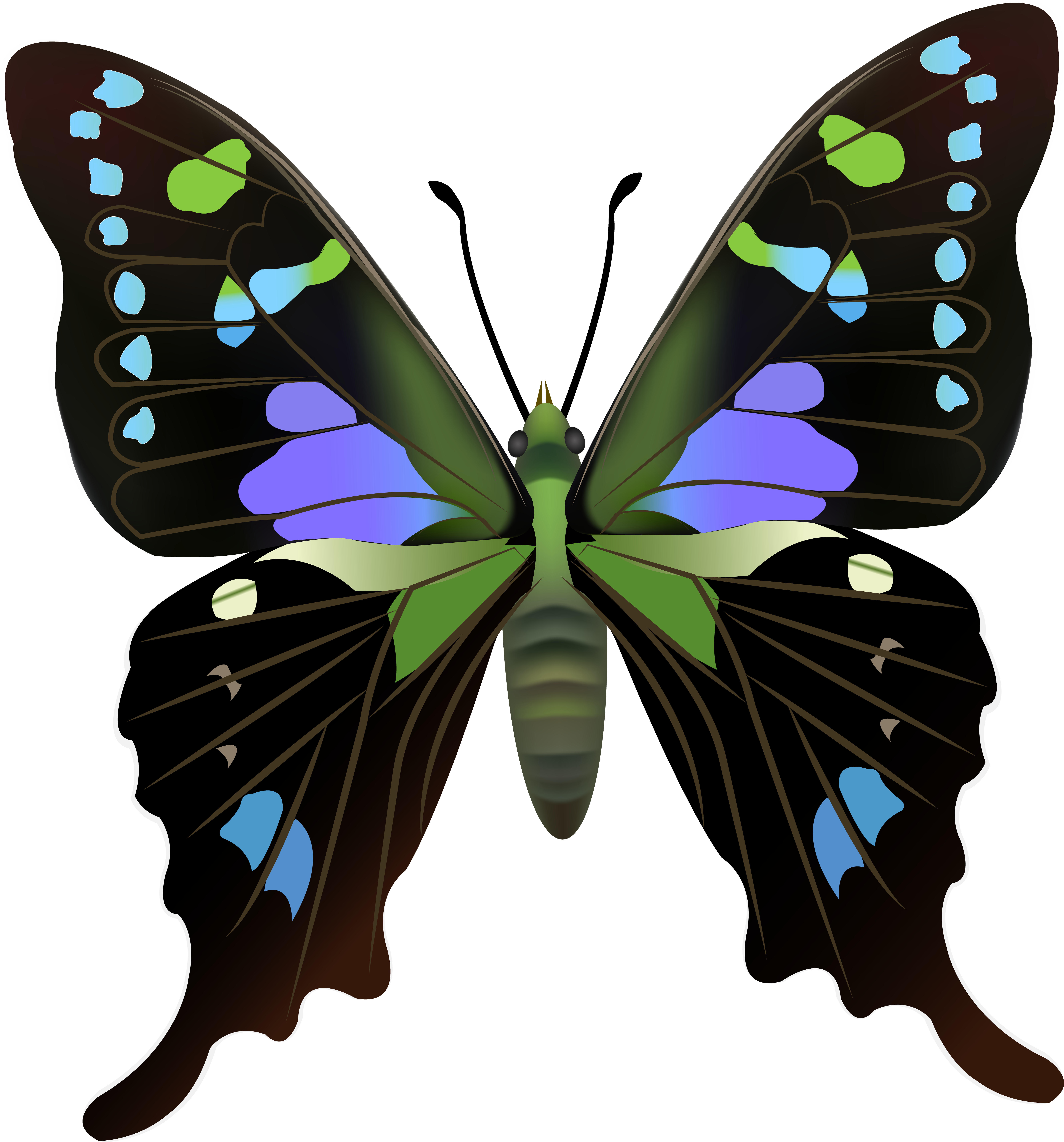 Butterfly Png Clip Art (7450x8000), Png Download