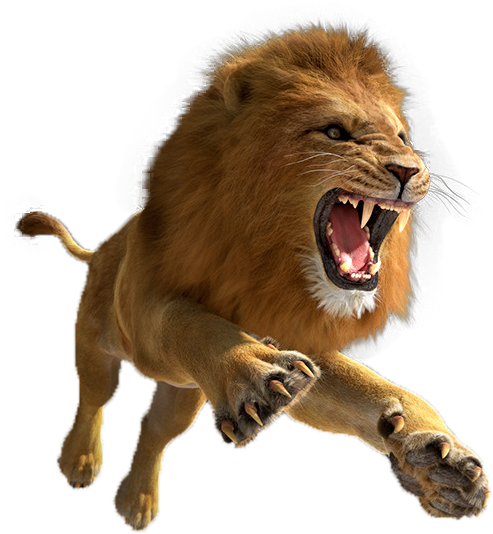 Lion Png Pic - Lion Png (600x600), Png Download