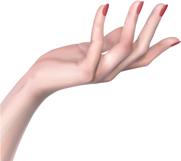 Hand Png Png Freeuse - Woman Hand Png (600x531), Png Download