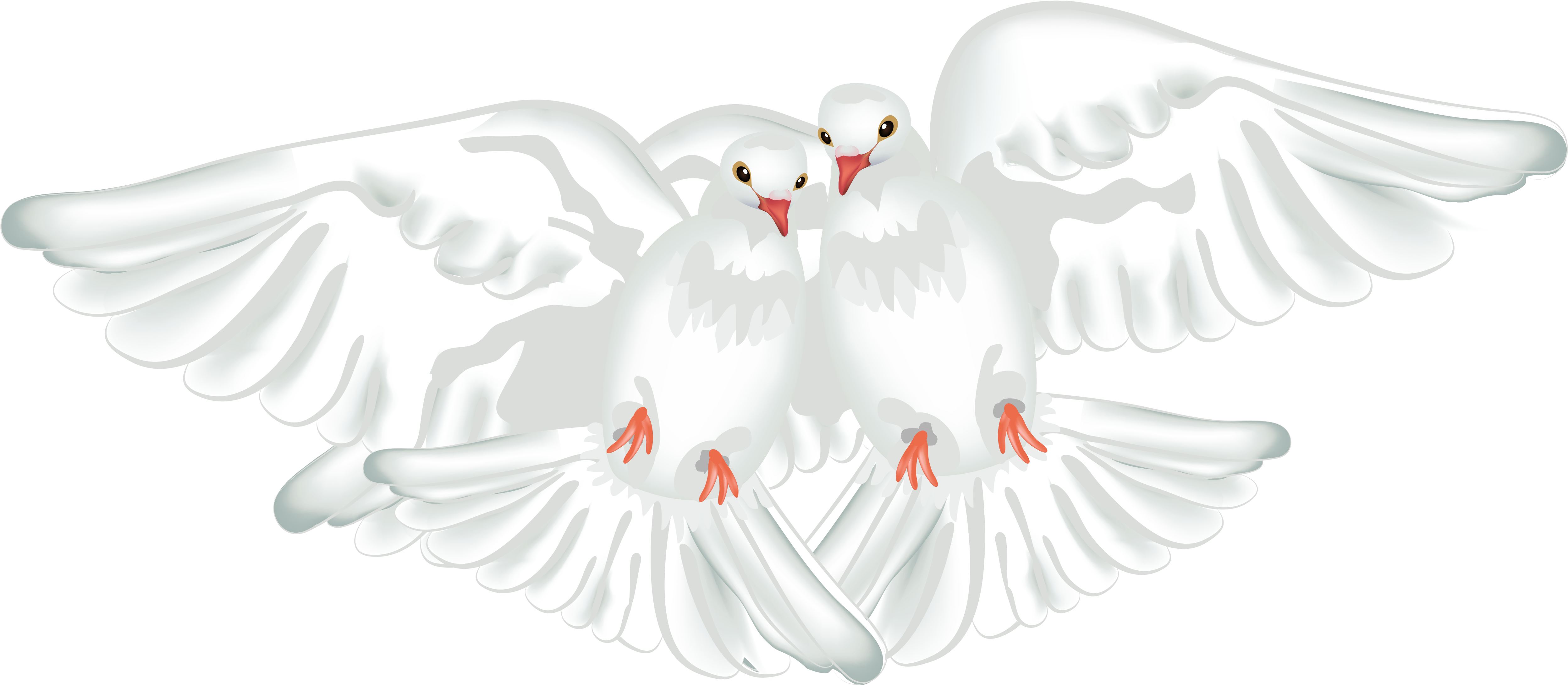 Columbidae Ruddy Ground Dove Rock Dove Maddie Rooney - Transparent White Doves (5195x2399), Png Download