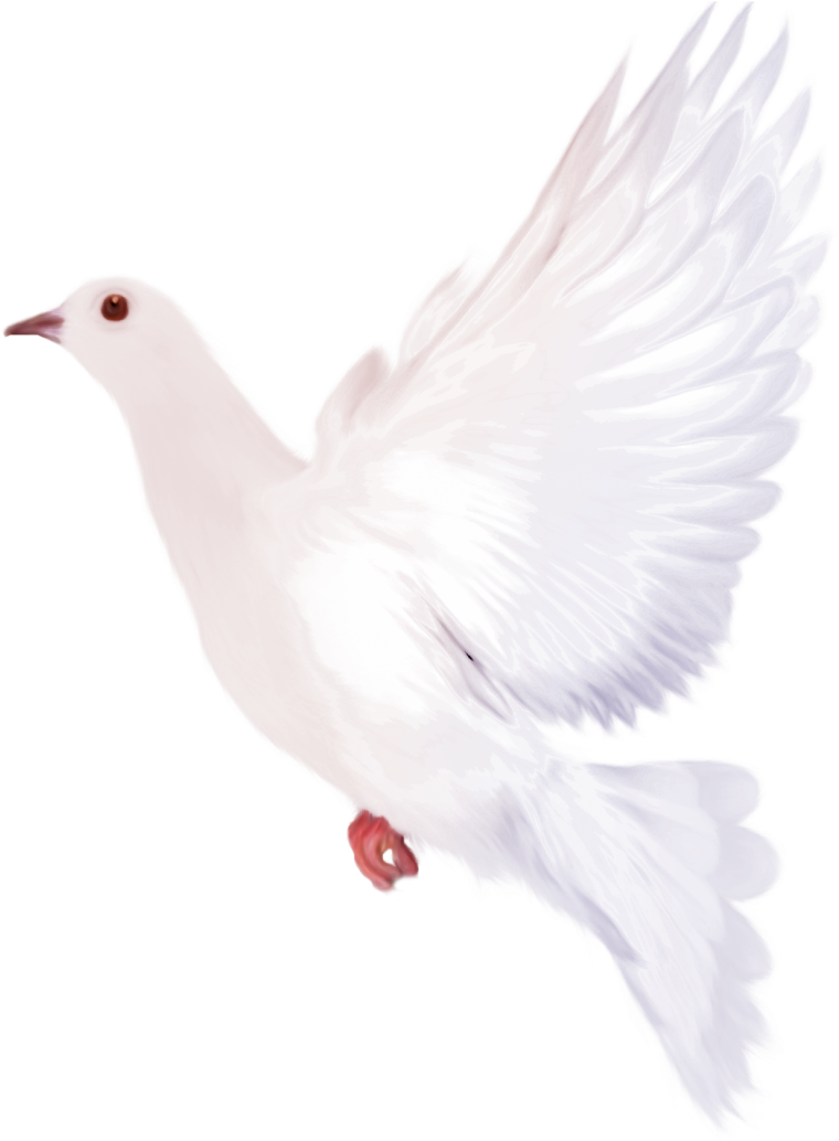 Dove Clipart Watercolor - Dove Watercolor Png (1114x1280), Png Download