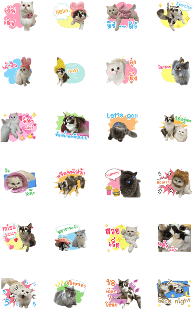 Line Creators' Stickers - Animal (420x673), Png Download