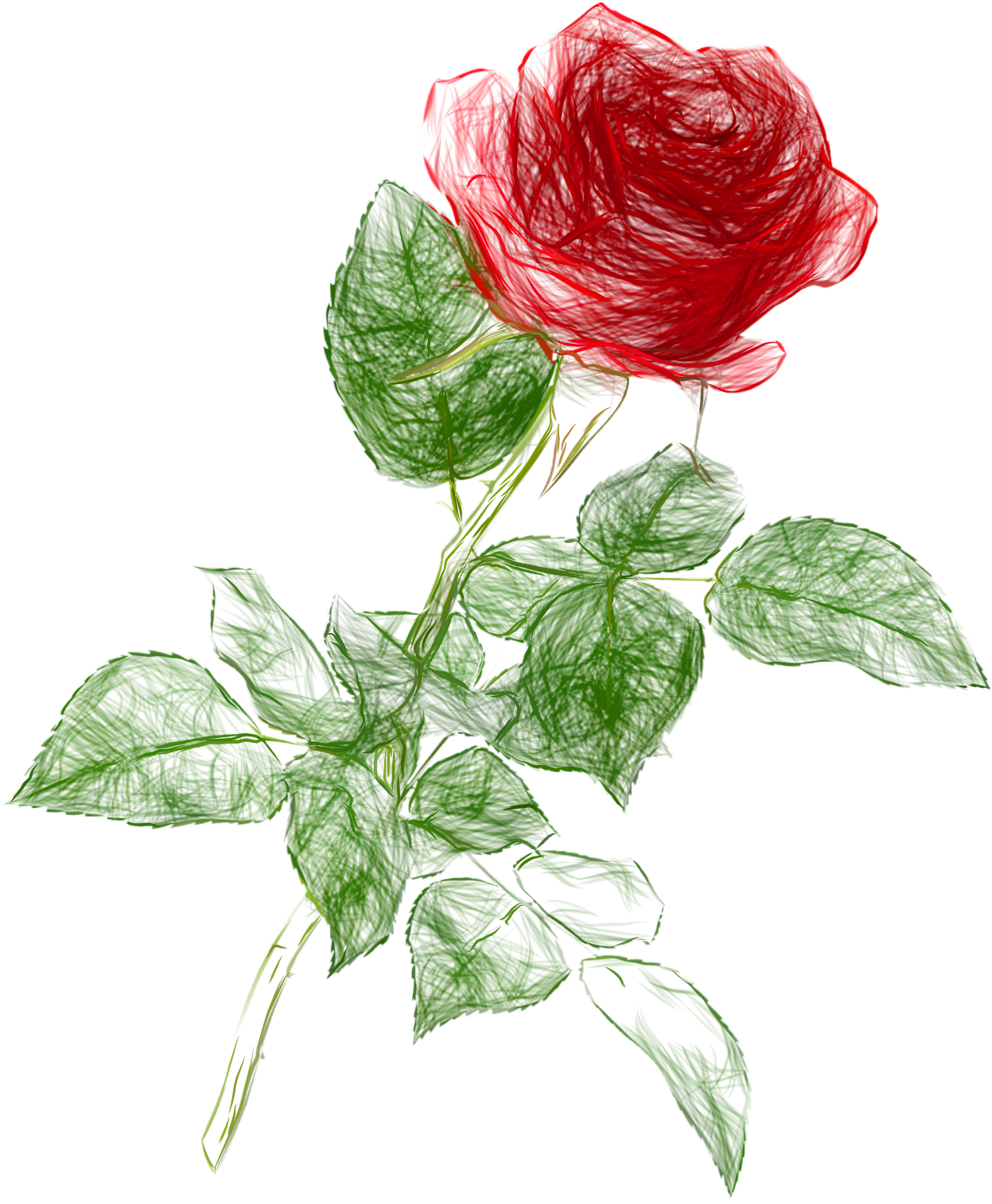 Drawing Pencil Color Rose Png Clipart Picture - Rose Drawing Png (1246x1600), Png Download